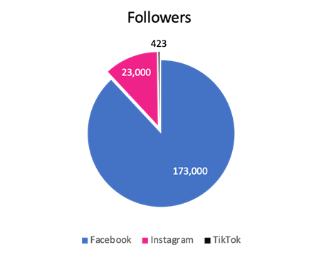 Graph of followers by social platform